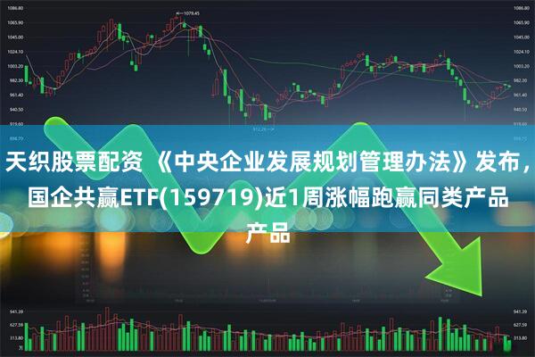 天织股票配资 《中央企业发展规划管理办法》发布，国企共赢ETF(159719)近1周涨幅跑赢同类产品