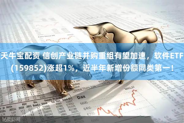 天牛宝配资 信创产业链并购重组有望加速，软件ETF(159852)涨超1%，近半年新增份额同类第一！