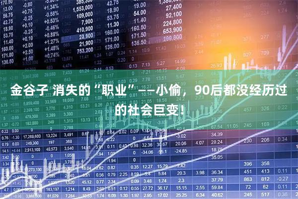金谷子 消失的“职业”——小偷，90后都没经历过的社会巨变！